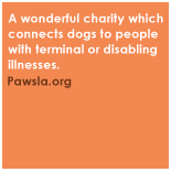 A wonderful charity which connects dogs to people with terminal or disabling illnesses. pawsla.org