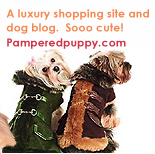 A luxury shopping site and dog blog.  Sooo cute!  pamperedpuppy.com
