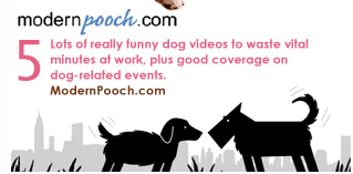 5. ModernPooch.com Lots of really funny dog videos to waste vital minutes at work, plus good coverage on dog-related events.  modernpooch.com