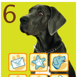 Dogster Pic